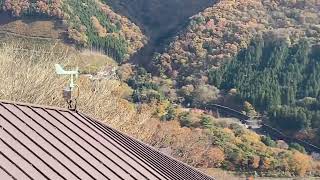 おさるの山鬼怒川温泉ロープウェイ