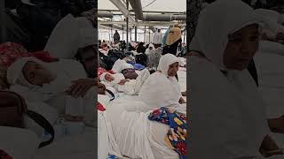 Hajj 2024- MASHA ALLAH-HAJJ me Mina ka ladies tent #hajj #jannat #hajjnews #live