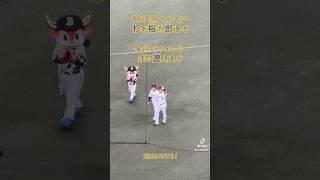 【本日のヒーロー】杉本裕太郎選手 渡部遼人選手 オリックスバファローズ 2024/09/21