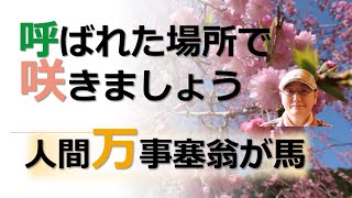 #122📻【呼ばれた場所で咲きましょう！】人生、思い通りにならなくても大丈夫、人間万事塞翁が馬（With automatic English translation）