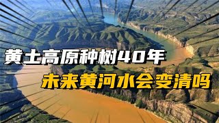 黃土高原種樹40年，植被覆蓋率達63%，未來黃河水會變清澈嗎？