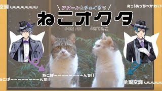 【ツイステ】アテネコCMツイステパロ！猫inオクタヴィネル【アテネコ】