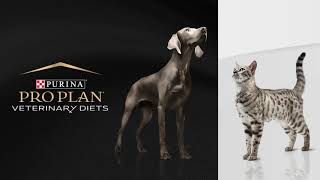 ¿Ya conoces ProPlan® Veterinary Diets?