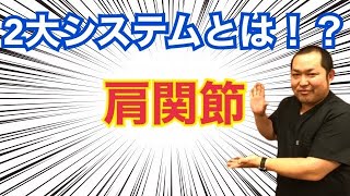 【これ知ってる！？】肩関節の超重要な２大システムとは？