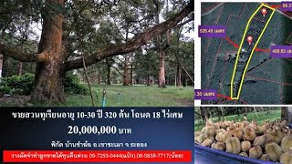 #ขายสวนทุเรียน #โฉนด 18 ไร่เศษ #พิกัด บ้านซำฆ้อ #เขาชะเมา #ระยอง #20 ล้าน #Durian #Thailand #榴蓮 #EP1