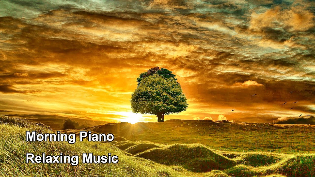 Morning Piano Relaxing Music For Positive Energy Peaceful Piano