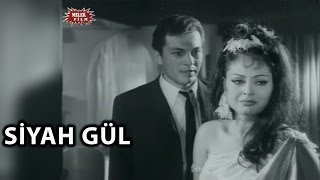 Siyah Gül (1966) - Türkan Şoray & Kartal Tibet - Tek Parça İzle