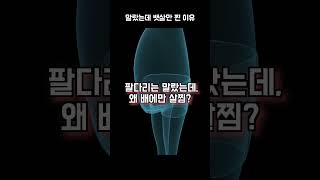 뱃살만 살찌는 이유