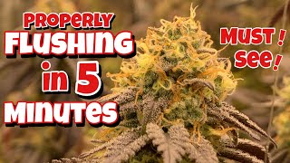 FLUSHING IN 5 MIN , HOW TO PROPERLY FLUSH WEED