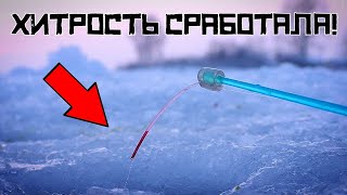 СДЕЛАЛ ЭТО и НАЧАЛОСЬ! Простая ХИТРОСТЬ СПАСЛА рыбалку в январе!