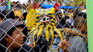 Pelea de Jaguares, Zitlala 2017