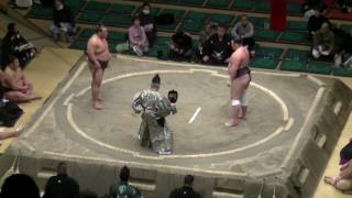 栃の濱-剛竜/大相撲.2017.1.12(21)/tochinohama-goryu/day5 #sumo