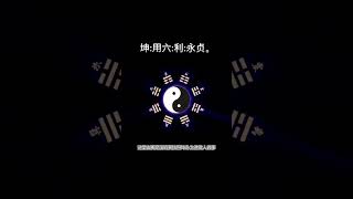 坤:用六:利，永贞#易经