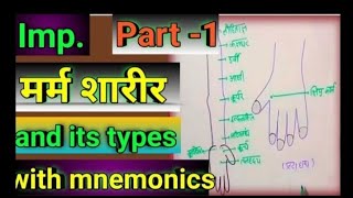 Marm sharir bams।।मर्म शारीर।। and it's types with mnemonics