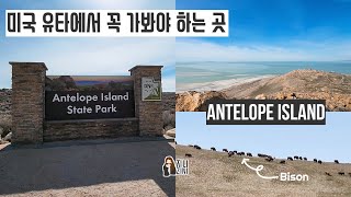 미국 유타에서 꼭 가봐야 하는 곳 | 그레이트 솔트 레이크에 있는 섬 | 안텔롭 아일랜드 | ANTELOPE ISLAND STATE PARK ITINERARY