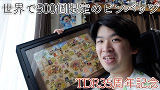 【D-グッズ】世界で500個限定！当選者のみしか買えなかったTDR35周年記念ピンバッジ紹介