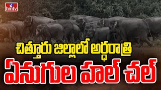 చిత్తూరు జిల్లాలో అర్ధరాత్రి ఏనుగుల హల్ చల్ | Elephants Hulchul In Chittoor District | hmtv