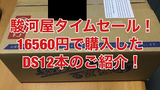 駿河屋のタイムセール！16560円DS12本の購入品紹介！