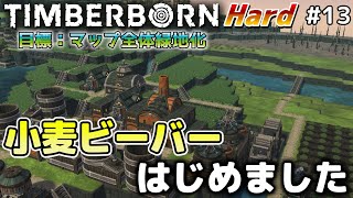 【Timberborn】『小麦ビーバーはじめました』マップ全体緑地化!!ハードモードでビーバーの王国作り始めました #13【ゆっくり実況】