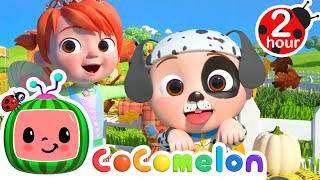 Wear Costumes To The Pumpkin Patch! | 2 HOUR CoComelon Kids Songs & Nursery Rhymes