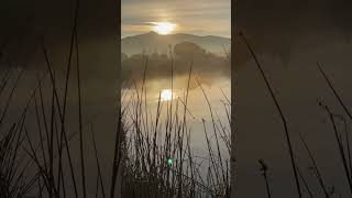 #fremont #sunrise #reflection #lakeelizabet #stunning #breathtaking #bayarea #life #fortune #love