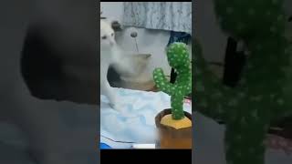 FUNNY CATS and DOGS 🐱🐶 & other ANIMALS 🐾 New Funniest Animals Videos 2023 😂 #shorts