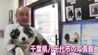 犬と家族写真・ペット撮影なら千葉県八千代市の写真館