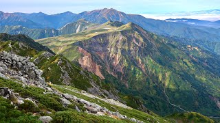 【山の絶景】北アルプス「五色ヶ原」の美しい風景