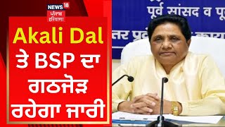 Akali Dal ਤੇ BSP ਦਾ ਗਠਜੋੜ ਰਹੇਗਾ ਜਾਰੀ | News18 Punjab