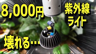 8000円で売っているライトが壊れました…(´;ω;｀)【紫外線ライト・UVB・マイクロUV・爬虫類・飼育】