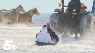 Horses enjoy snow day at Arkansas riding center