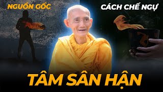 Làm Sao Chế Ngự TÂM SÂN HẬN để An Lạc Hạnh Phúc - Thầy Thích Giác Khang