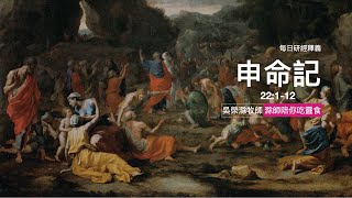 《申命記》22:1-12｜第33集｜仁慈合宜美善理想