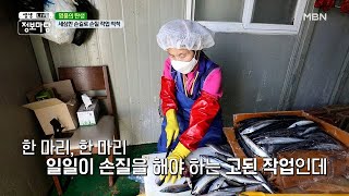 【명품의 탄생】 53년의 세월로 빚어낸 名品 과메기! MBN 210305 방송