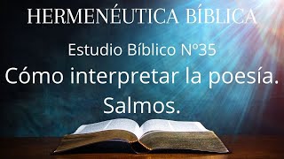 35. Hermenéutica. Cómo interpretar la poesía. Salmos.