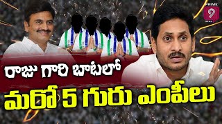 రాజు గారి బాటలో మరో 5 గురు వైసీపీ ఎంపీలు | రఘురామను జైలుకు పంపకుండా ఉంటే మరో ఐదుగురు ఎంపీల షాక్‌..?