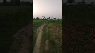 real village filed in farrukhabad alok shakyam