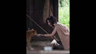 喋る犬は悪魔ではないのか？#shorts #tvshow