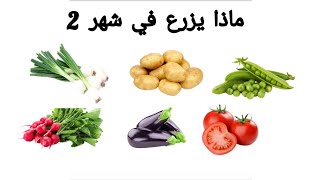 ماذا يزرع في شهر 2 |فيفري|ماذا يزرع الان؟بداية الزراعة الصيفية .