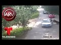 Momento en que un tigre ataca a una mujer | Al Rojo Vivo | Telemundo