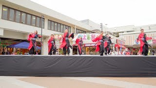 [4K] 三國鷙　堺よさこいかえる祭り 2019