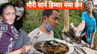 सिमल तरुल खाँदै काम गर्यौ/जङ्गलमा मौरीको हुल/कस्ले समाउने मौरी#trending#food#cooking#viralvideo