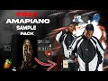 [FREE] Amapiano Sample Pack 2025  | Nandipha 808🛸🧱🔥 | 