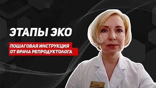 ЭКО/с чего начать/Этапы ЭКО/Планирование беременности