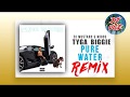 Mustard, Migos - Pure Water (Remix ft. Tyga & Biggie)