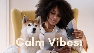 chill study vibes  • instrumental hip hop mix [2019] 📚