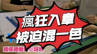 【港式台牌第18集】D靚牌湧入嚟