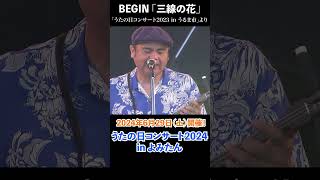 BEGIN　6月29日（土）開催！「うたの日コンサート2024 in よみたん」#shorts #BEGIN #ビギン #三線の花 #うたの日コンサート #begin