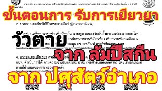 การขอรับ การเยียวยา จาก โรคลัมปี สกิน Lsd แนวทาง จาก ปศุสัตว์อำเภอ ชัดเจน บราห์มันเลือด100 วัวชาร์โร