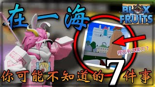 【Bloxfruit 海賊王】那些在一海你可能不知道的7件事?【隱藏裝備】!?